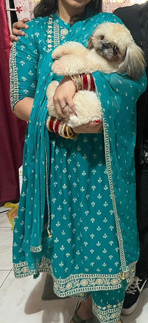 Kurti Set with Pants and Dupatta (Indian Kurti) - photo 2