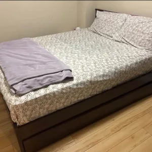 Queen IKEA MALM Bed Frame, Dark Brown
