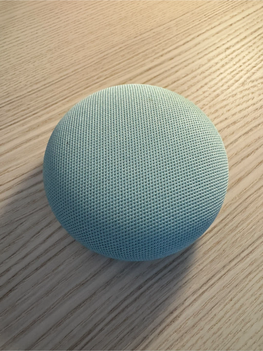 Google Home Mini Smart Speaker