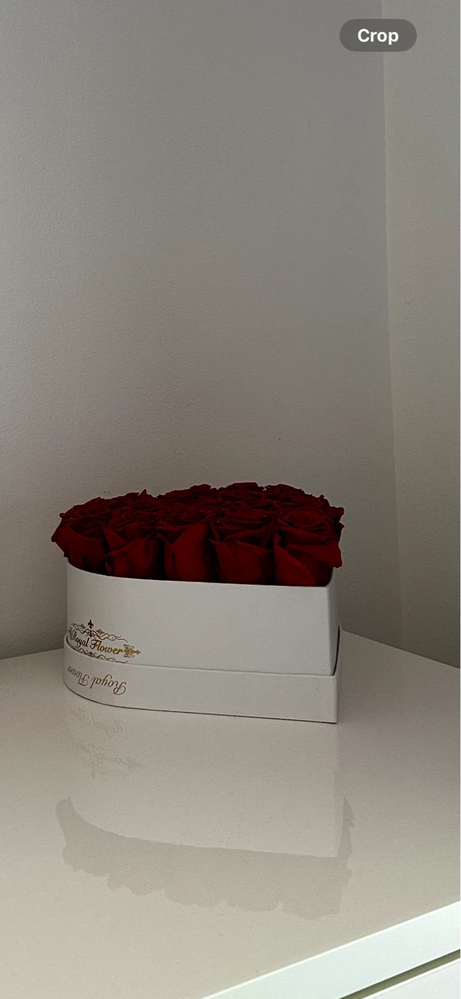 Royal Flower Preserved Red Roses Box