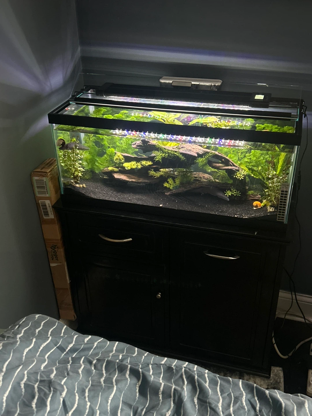 20 gallon Tank and Stand with Cabinet
