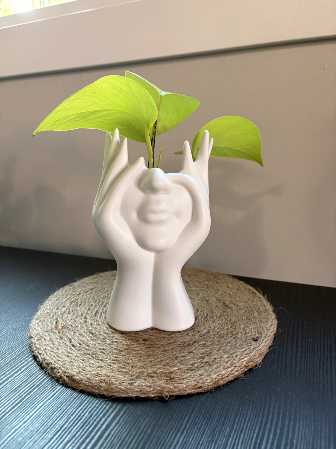 Neon pothos