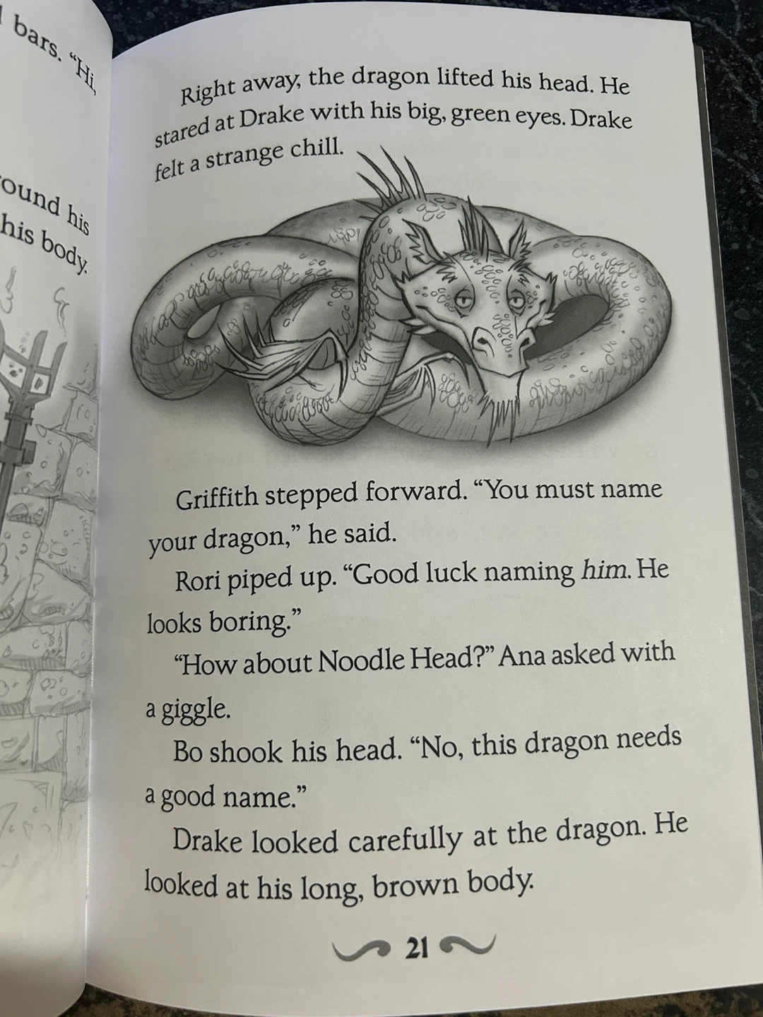 Dragon Masters: Rise of the Earth Dragon Book - photo 3