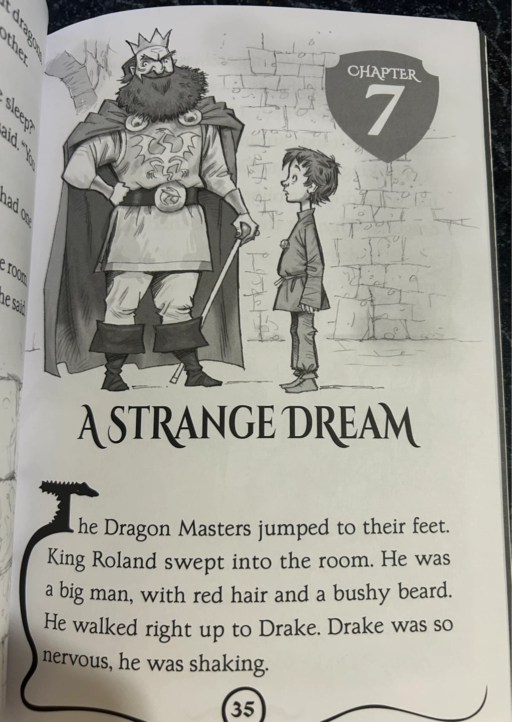 Dragon Masters: Rise of the Earth Dragon Book - photo 4