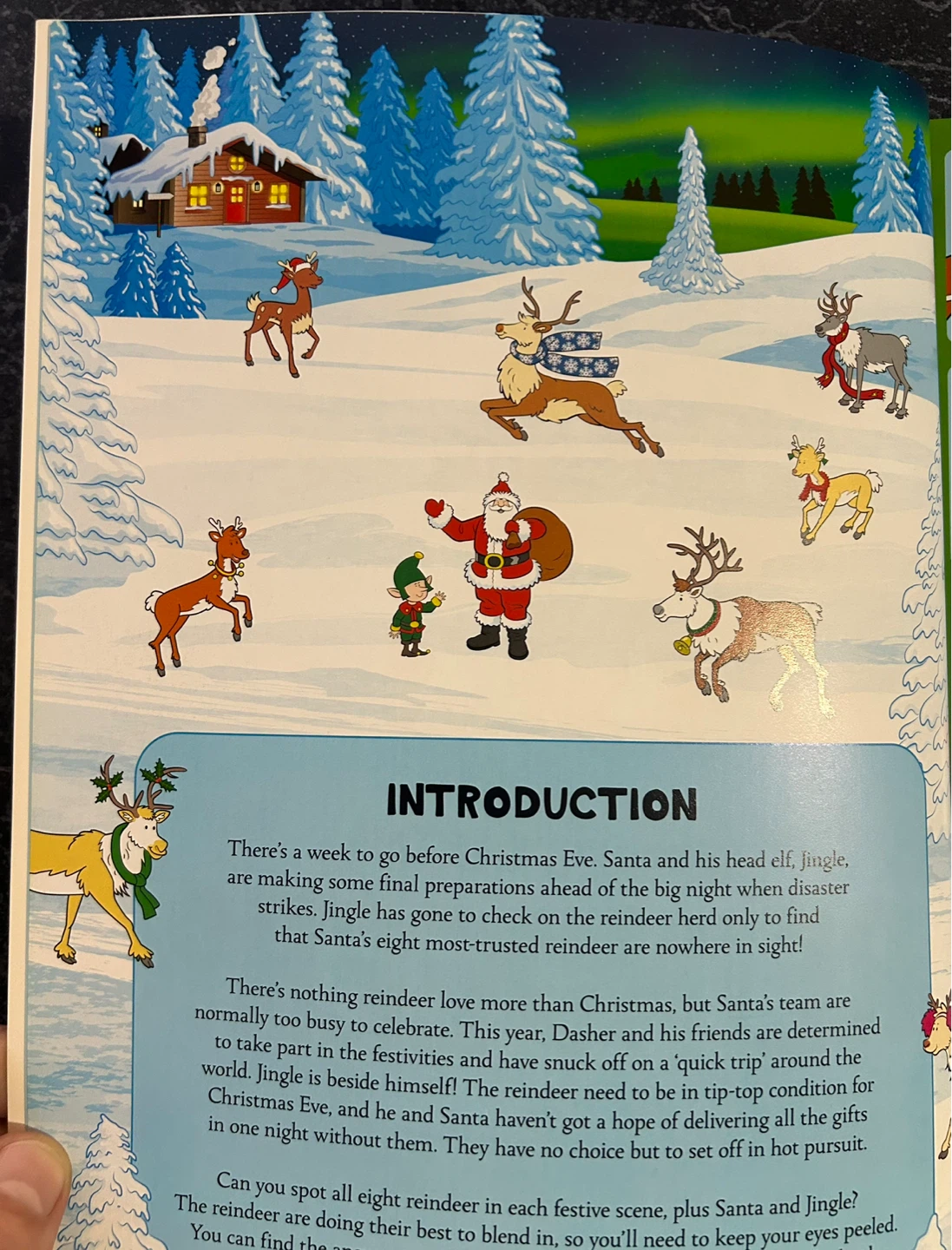Where's Santa's Reindeer? A Festive Search Book - photo 2