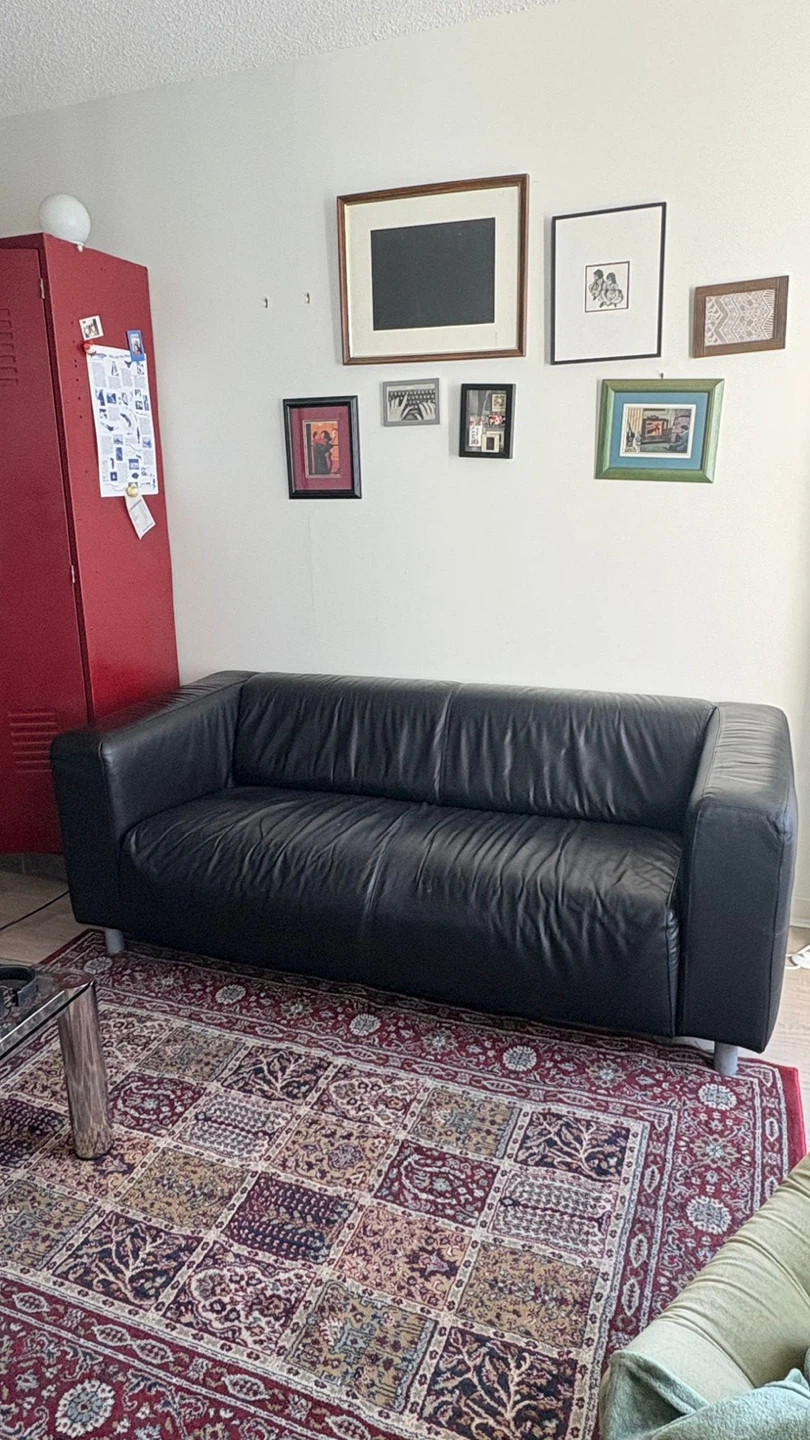 Black Leather Sofa