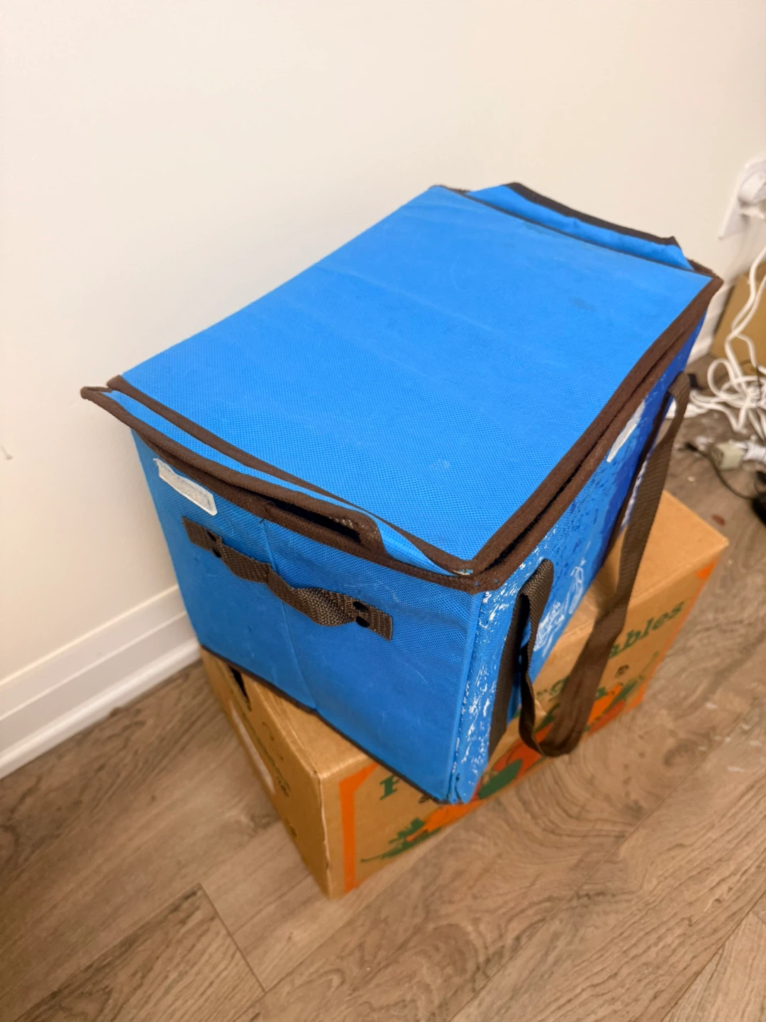 Fortinos Insulated Grocery Bag
