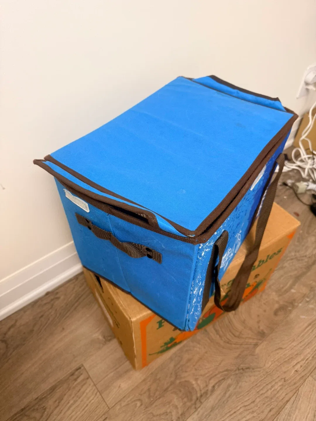 Fortinos Insulated Grocery Bag