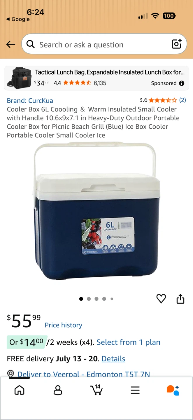 CurcKua 6L Cooler Box