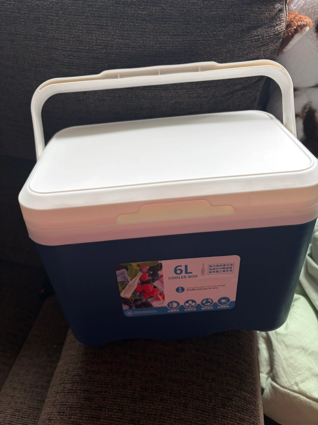 CurcKua 6L Cooler Box - photo 2