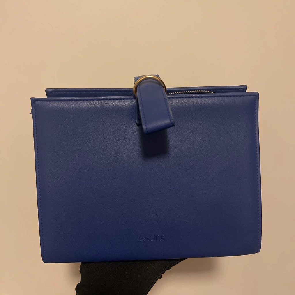 Blue triangular pouch