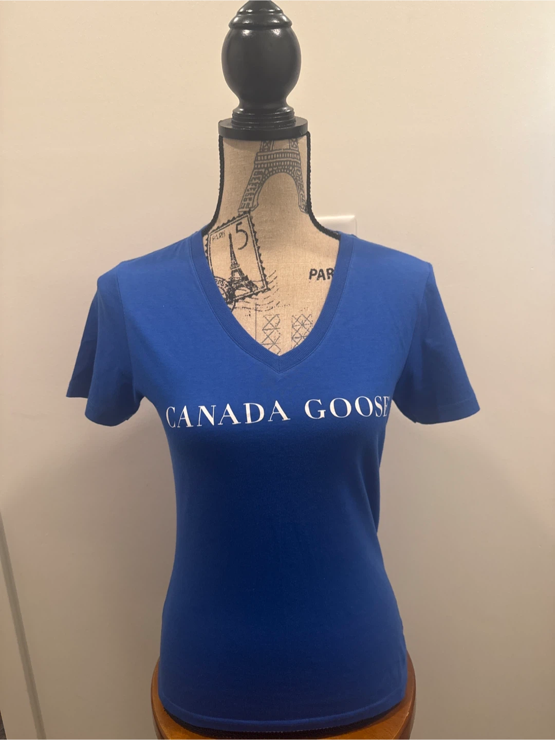 Canada Goose Blue V-Neck T-Shirt - Polar Bears International