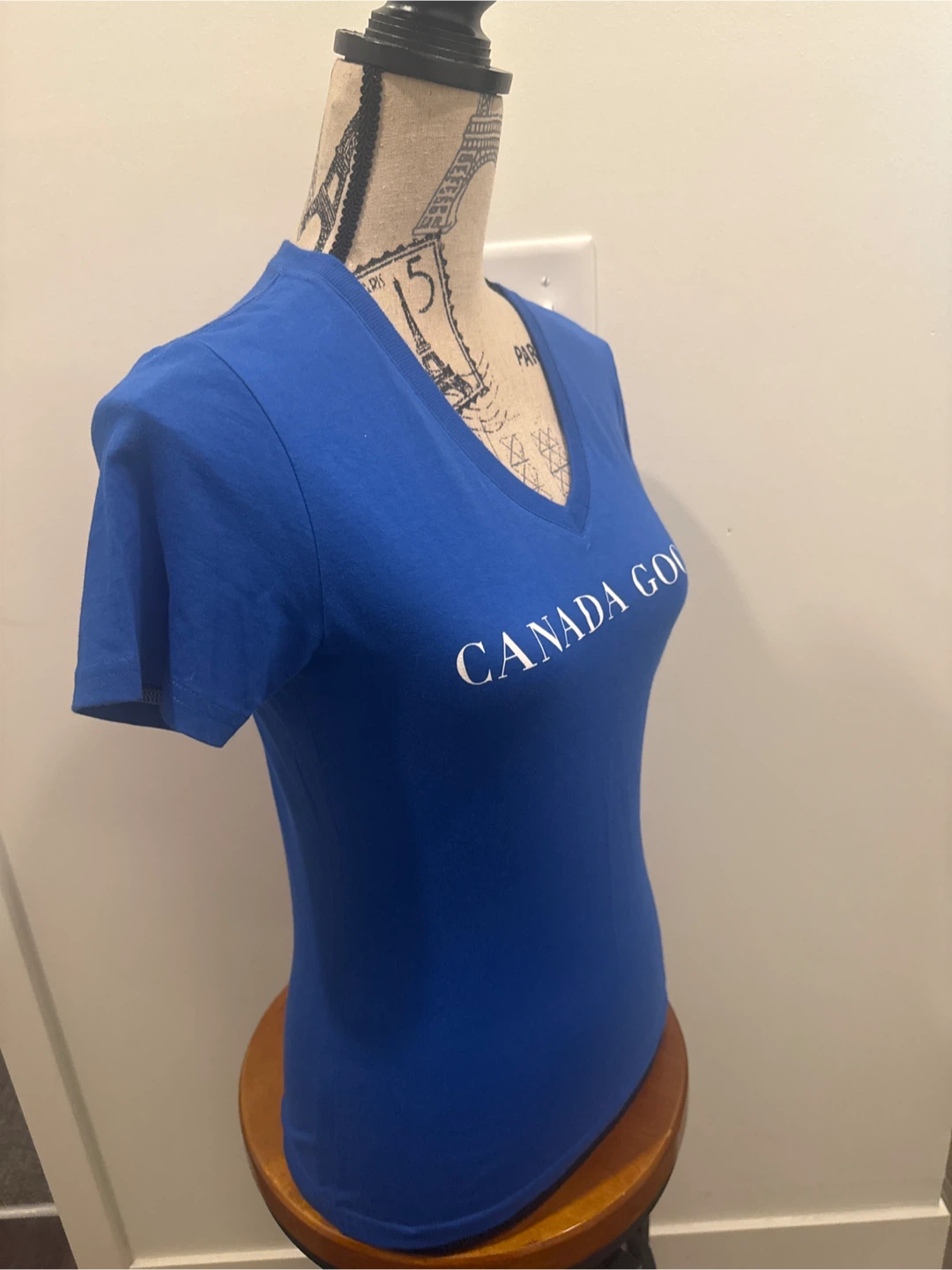 Canada Goose Blue V-Neck T-Shirt - Polar Bears International - photo 2
