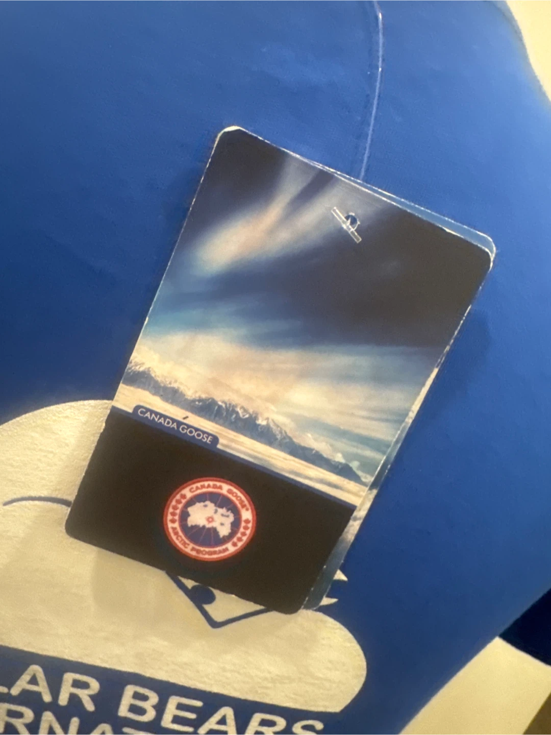 Canada Goose Blue V-Neck T-Shirt - Polar Bears International - photo 4