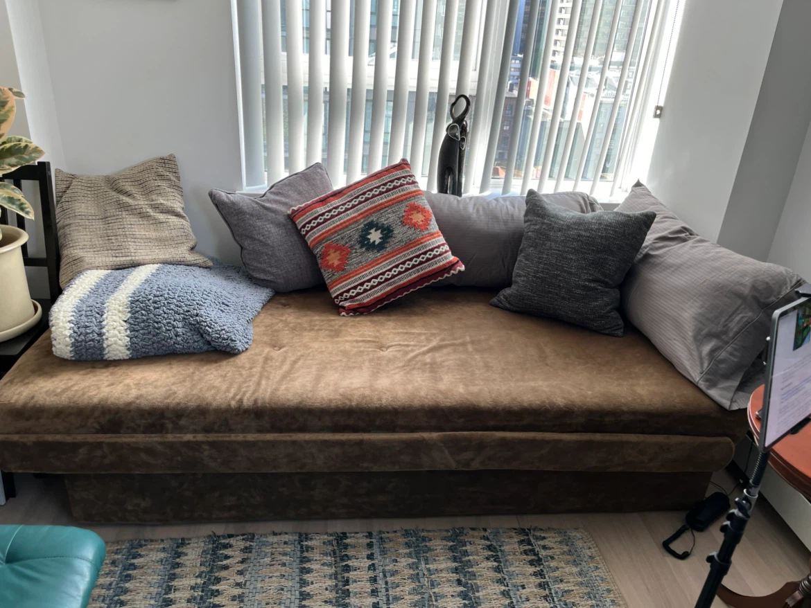 Brown velvet daybed