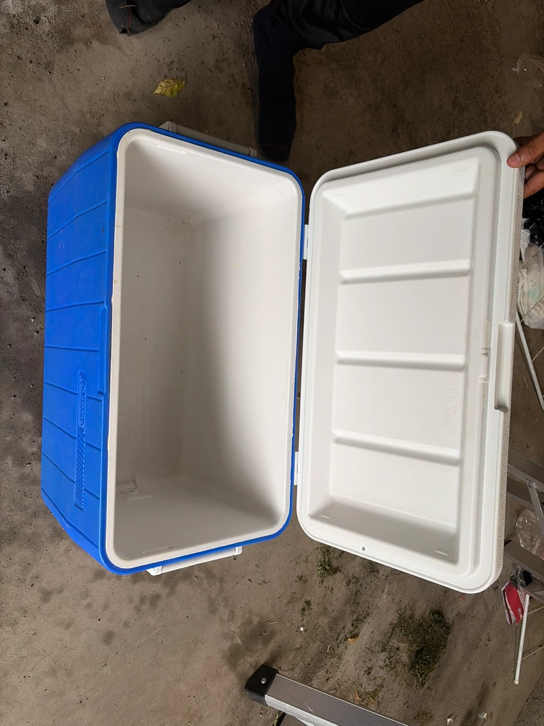 Coleman Cooler
