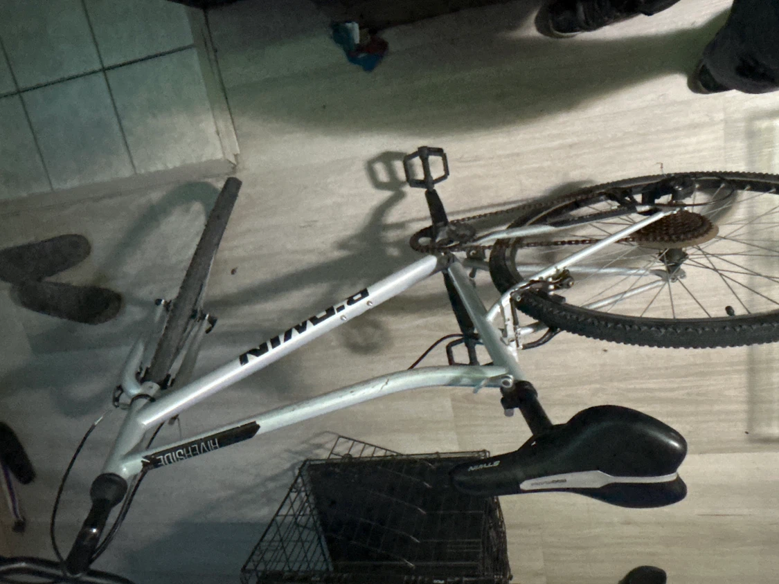 RIVERSIDE Hybrid Bike, Riverside 120 - photo 2