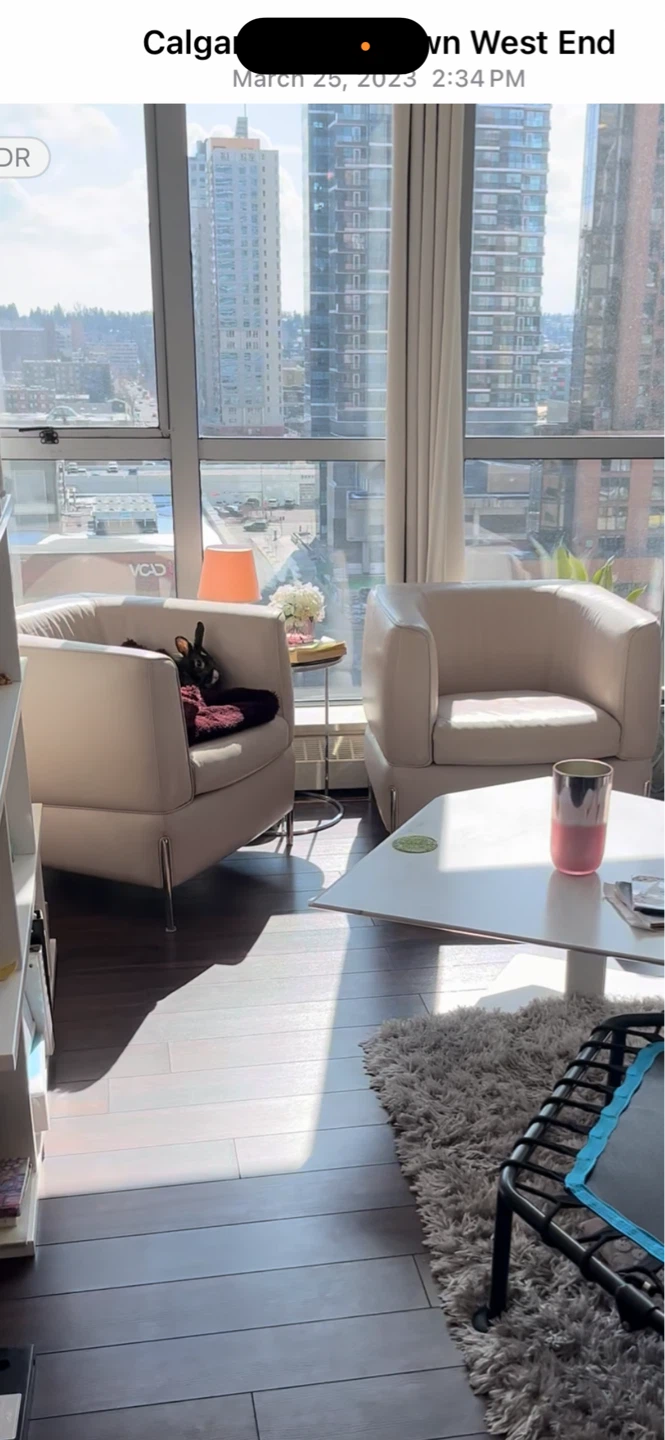 Natuzzi Italia Anteprima Armchair