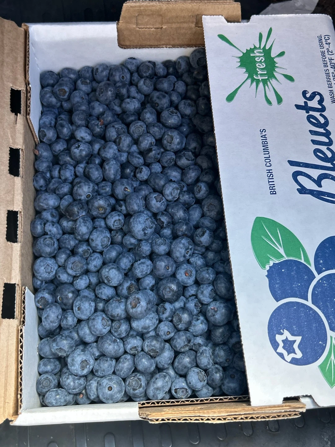 Fresh Blueberries