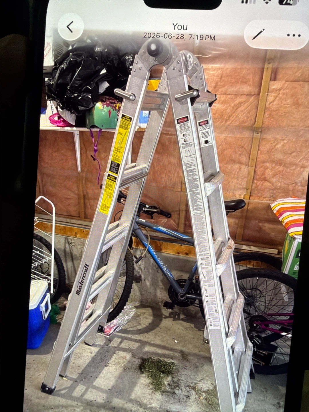 Mastercraft Aluminum Ladder
