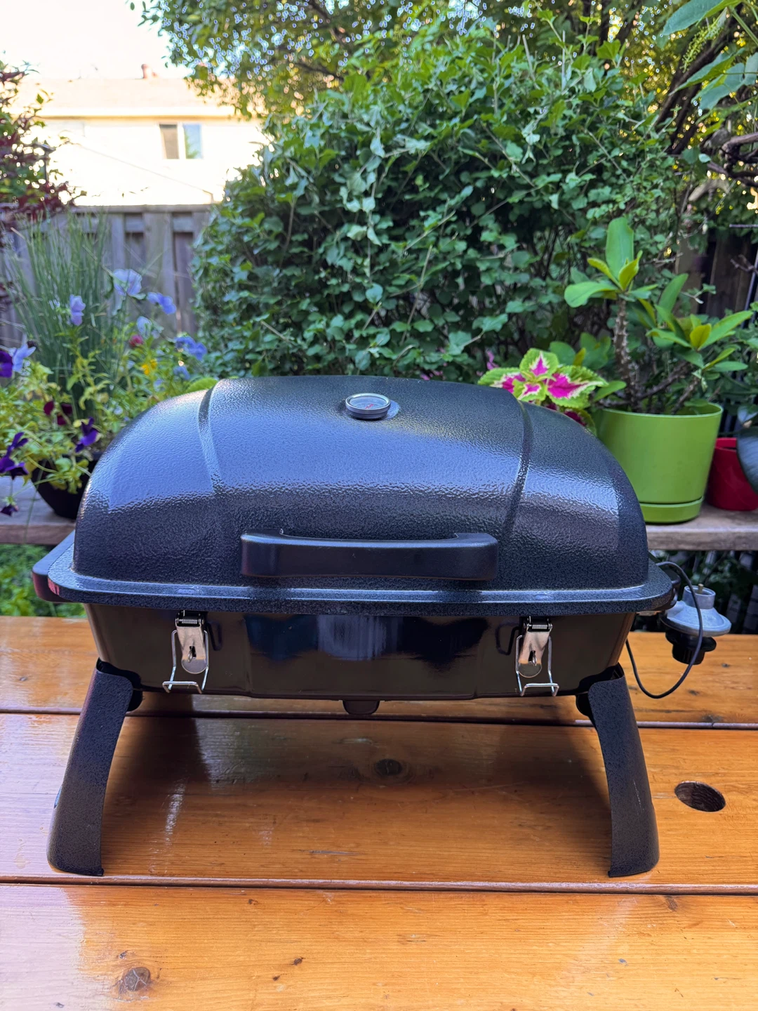 Portable Tabletop Single-Burner Propane Gas BBQ Grill