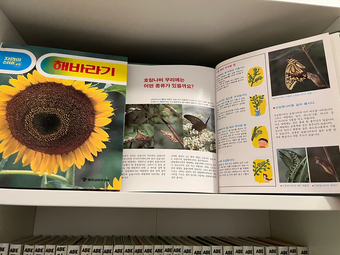 Set of 50 Korean Children's Books - 중앙교육연구원 자연의 신비 50권 - photo 2
