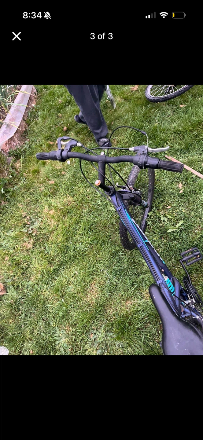 Blue Mountain Bike - photo 3