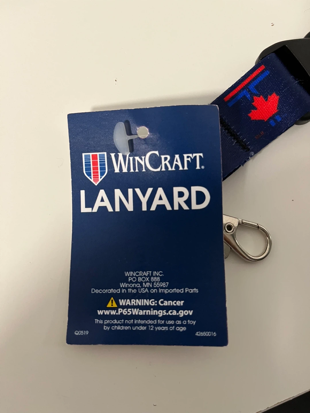 Toronto Blue Jays City Connect Lanyard With Detachable Buckle 1" - photo 3