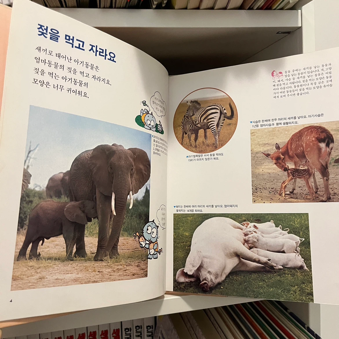 Set of 29 Korean Children's Books - 계몽사 유아능력개발백과 29권 - photo 3