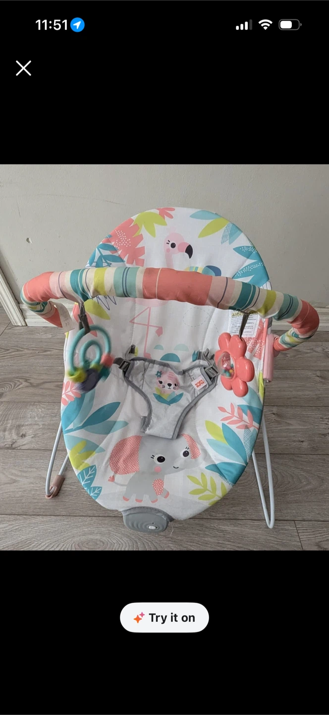 Bright Starts Baby Bouncer Seat