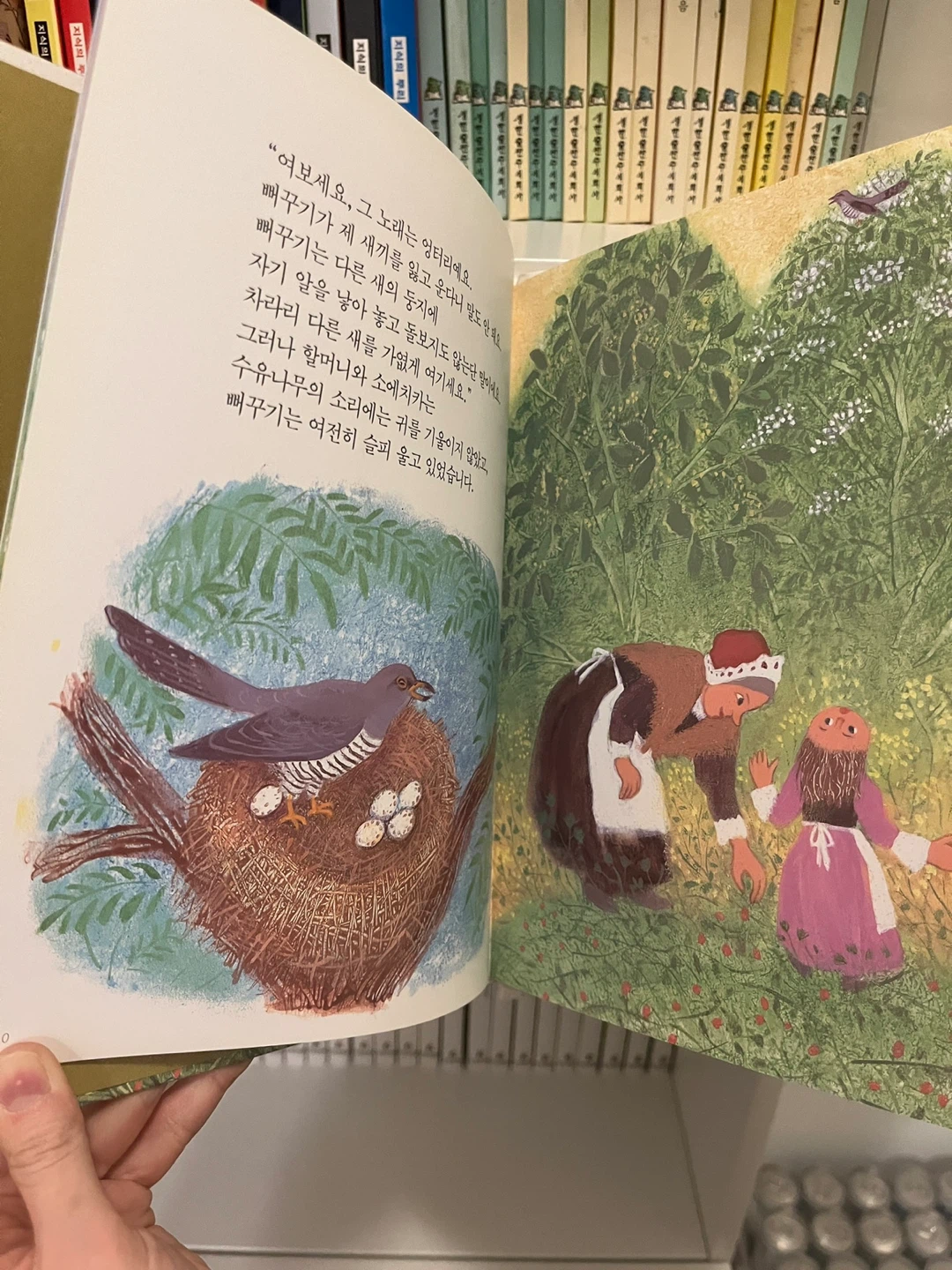 Set of 15 Korean Children's Books - 프뢰벨 비얀키 동물기 15권 - photo 3