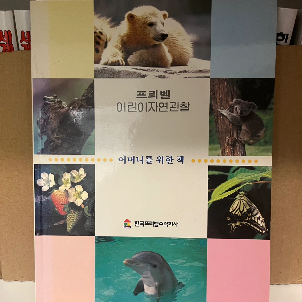 Set of 39 Korean Children's Books - 프뢰벨 어린이자연관찰 39권 - photo 4