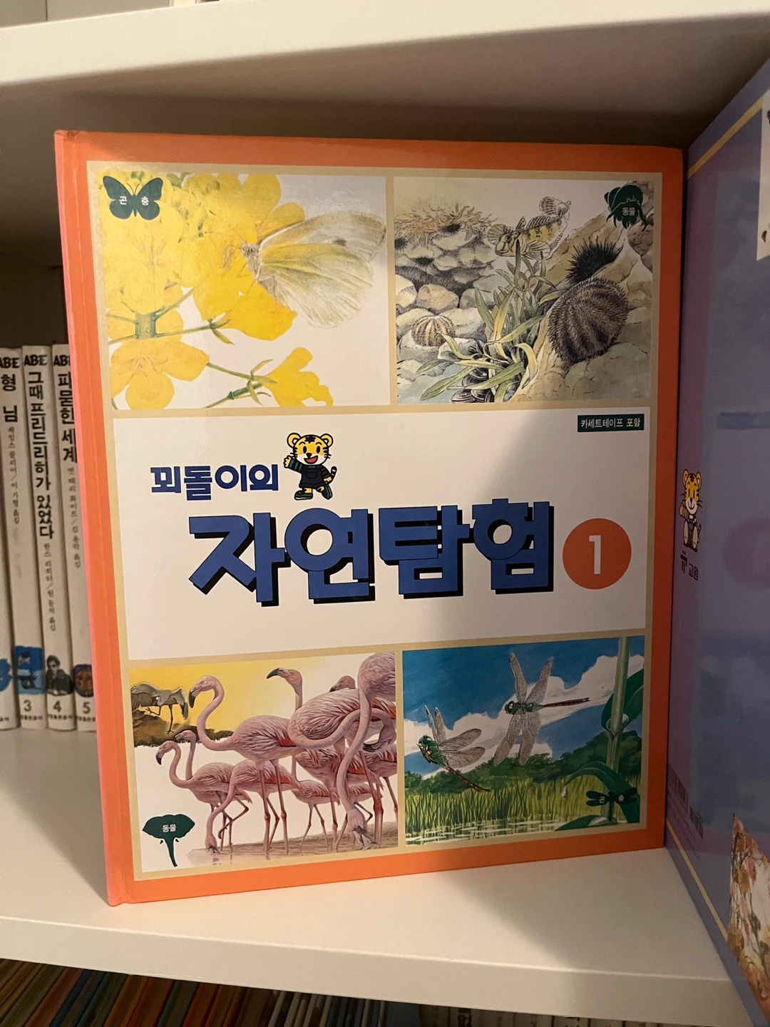 Set of 15 Korean Children’s Books - 교원 자연탐험 15권 + Free 카세트 테이프 - photo 2