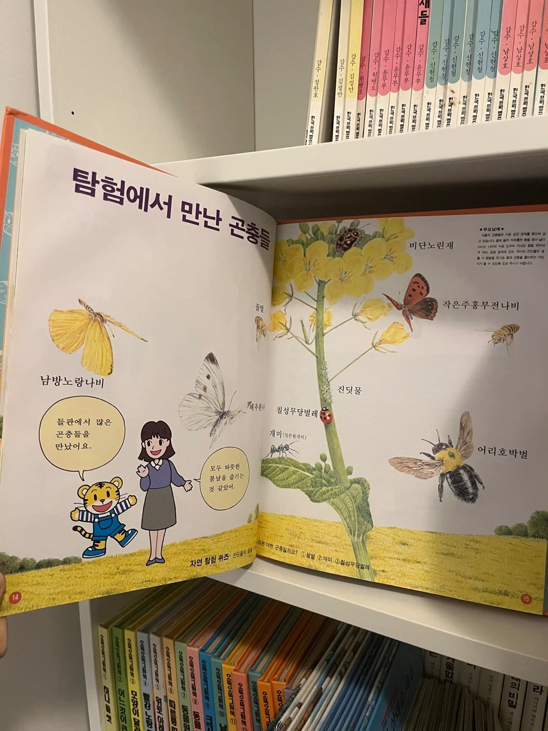 Set of 15 Korean Children’s Books - 교원 자연탐험 15권 + Free 카세트 테이프 - photo 3
