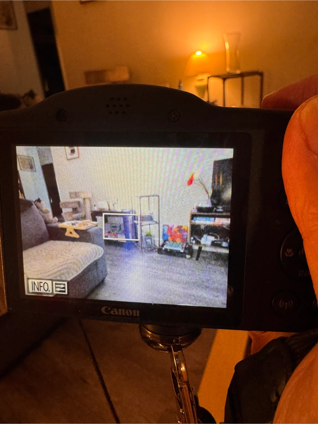 Canon PowerShot SX420 IS Digital Camera and accessories - photo 4