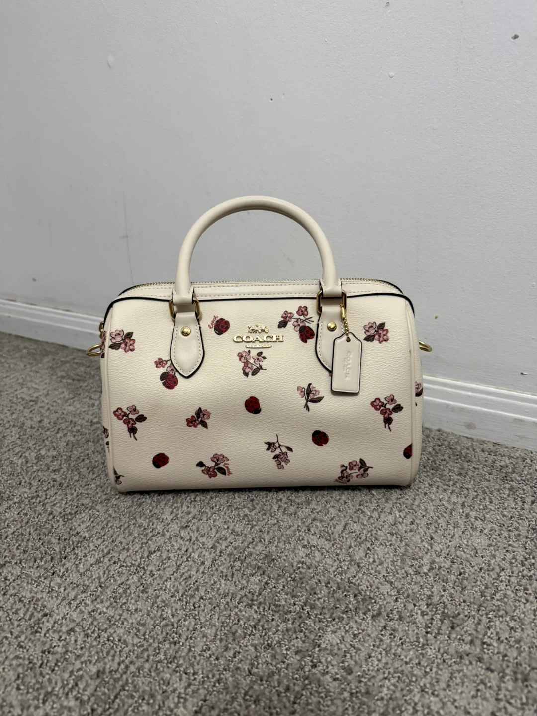 COACH Rowan Satchel Ladybug Floral Print Crossbody Bag Chalk