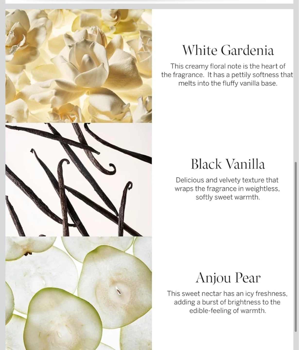 Victoria's Secret Tease Eau de Parfum 100ml - photo 2