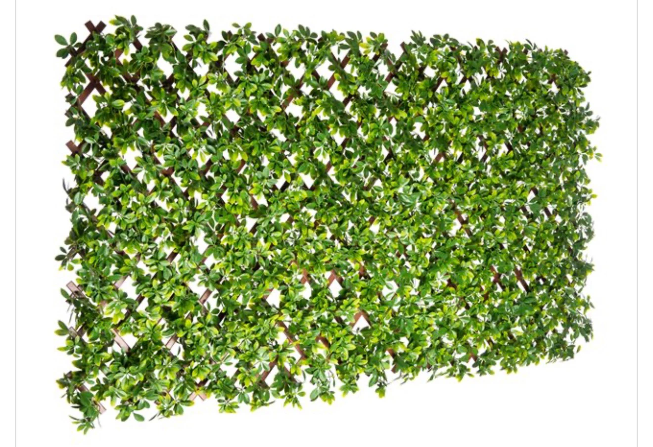 72-in W x 36-in H Expandable PVC Schefflera Garden Trellis