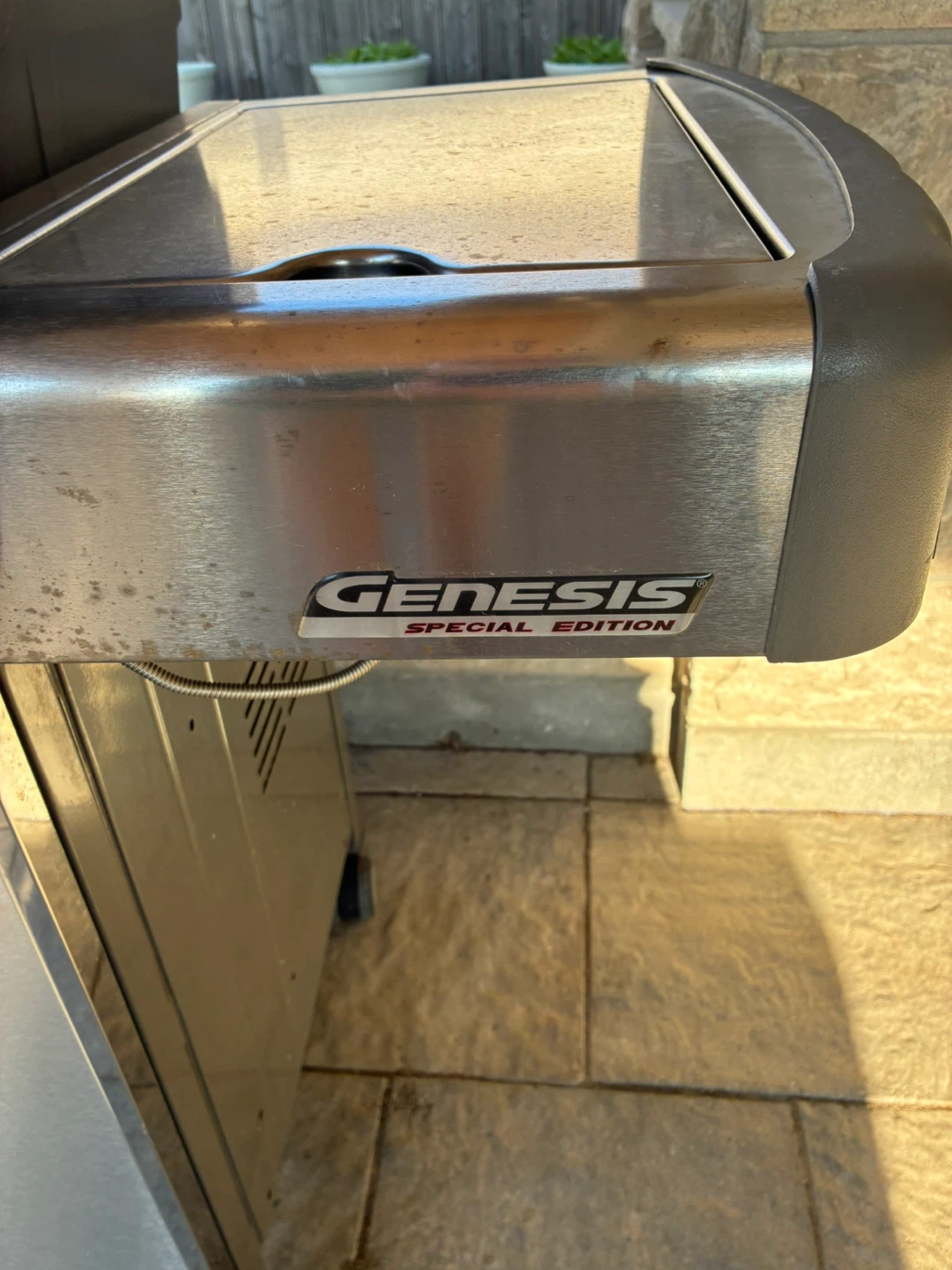 Weber Genesis Special Edition Propane Grill - photo 2