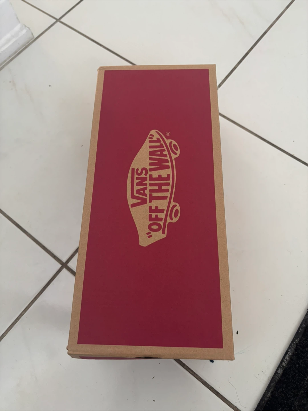 Vans Authentic Animalier Leopard Sneakers - photo 4