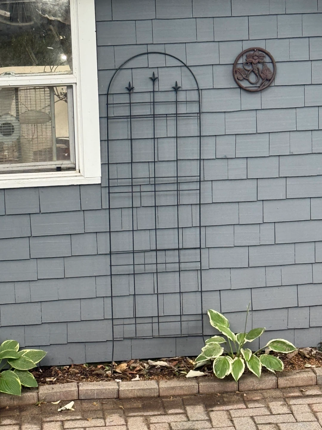 Black Metal Garden Trellis