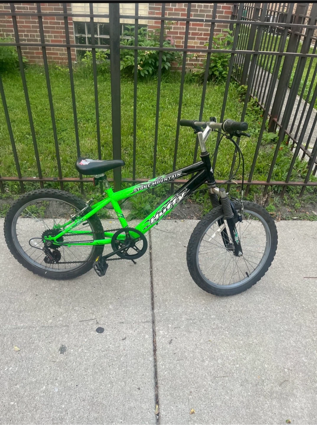Stone Mountain Kids Bike 20”