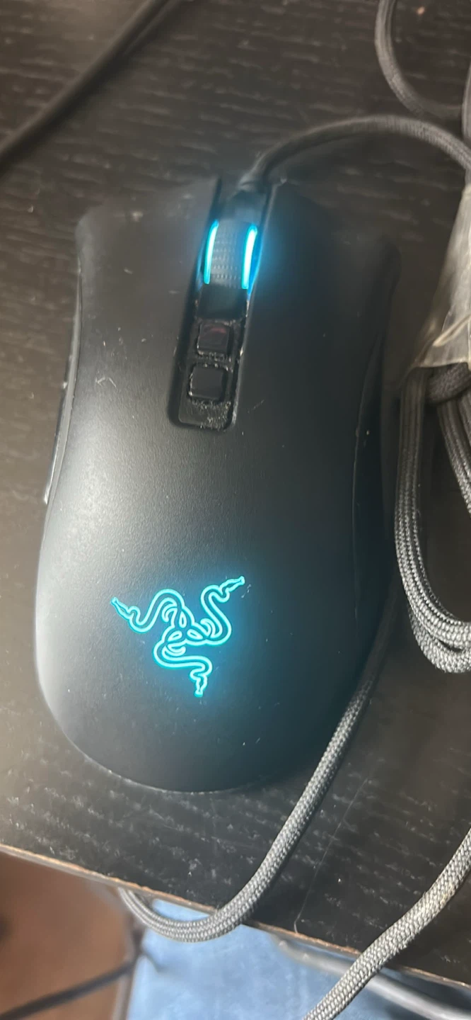 Razer DeathAdder V2 Gaming Mouse
