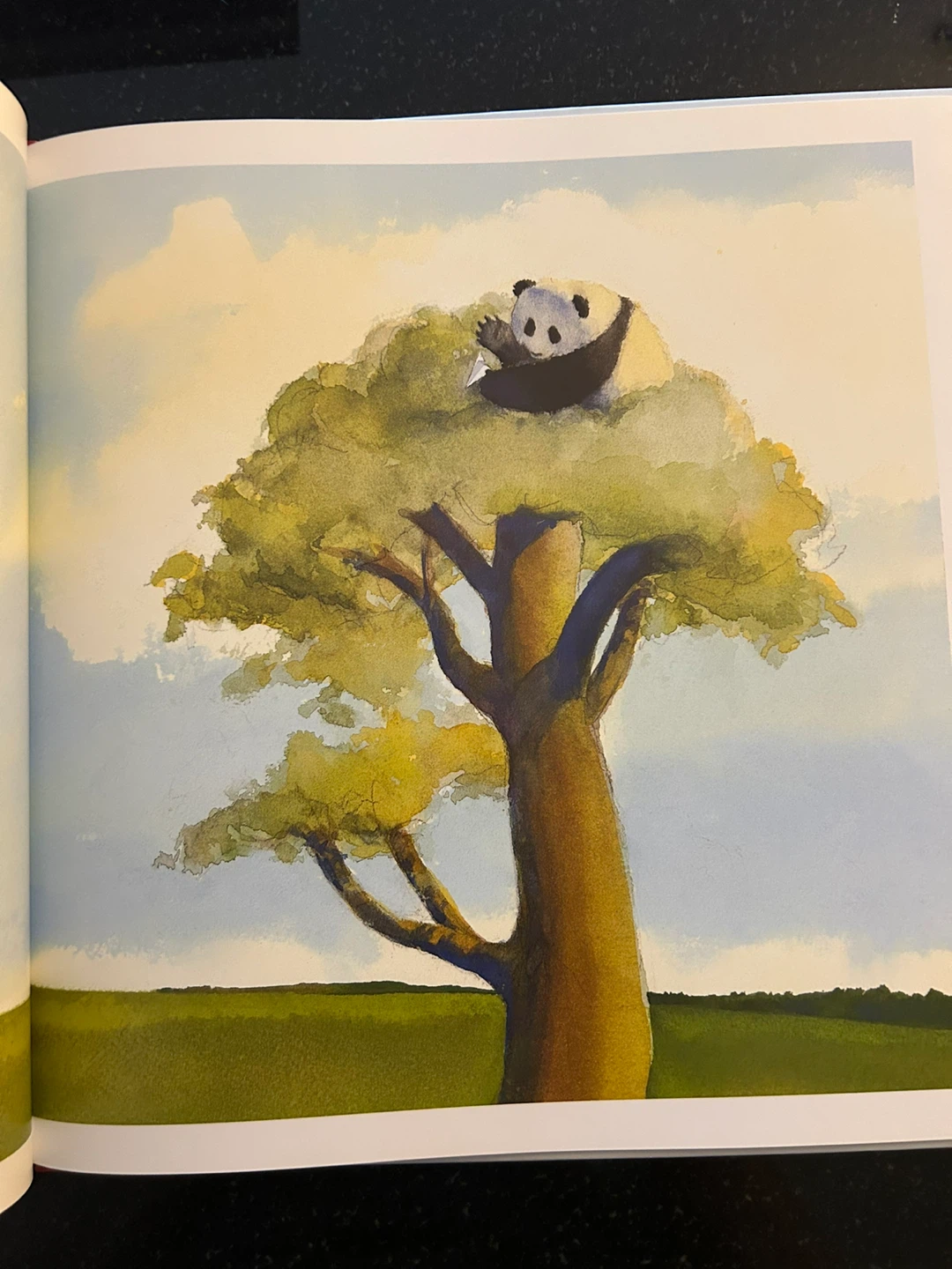 Zen Shorts Children's Book by Jon J Muth - photo 5
