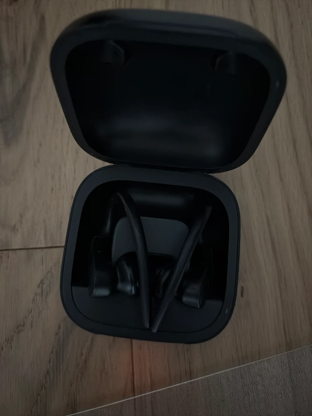 Beats Fit Pro Wireless Earbuds - photo 2