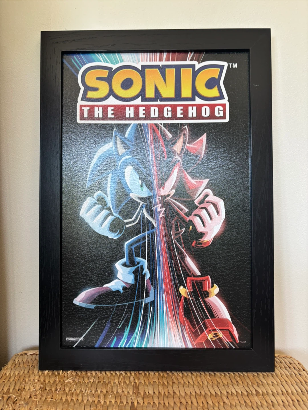 Sonic the Hedgehog Framed Picture