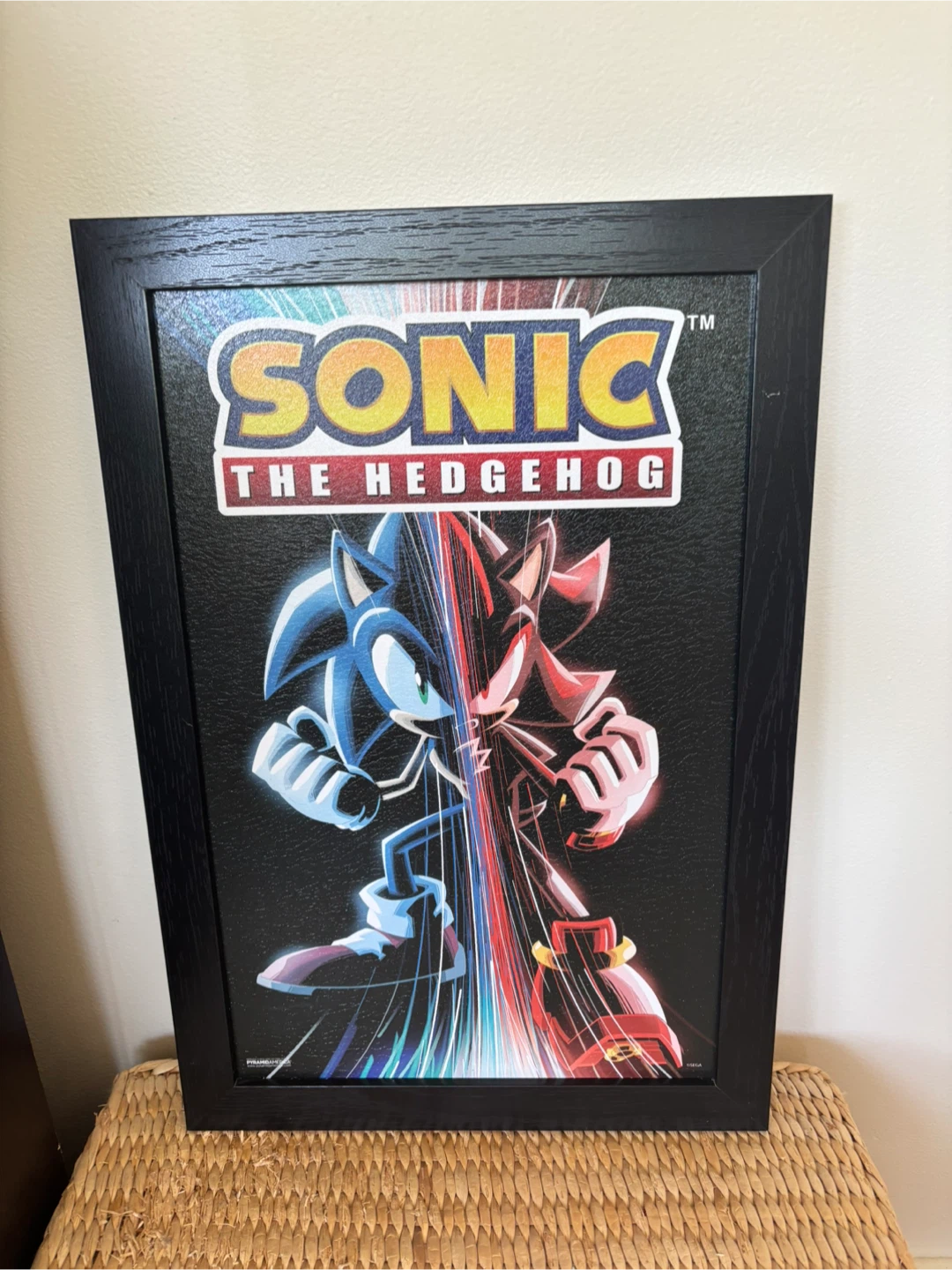 Sonic the Hedgehog Framed Picture - photo 5