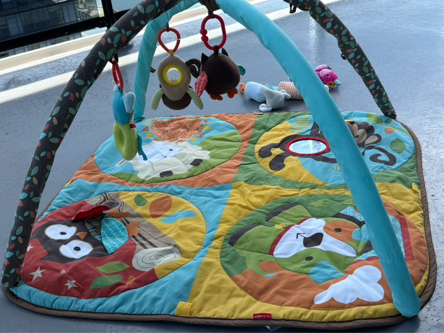 Skip Hop Baby Activity Gym Play Mat - photo 3