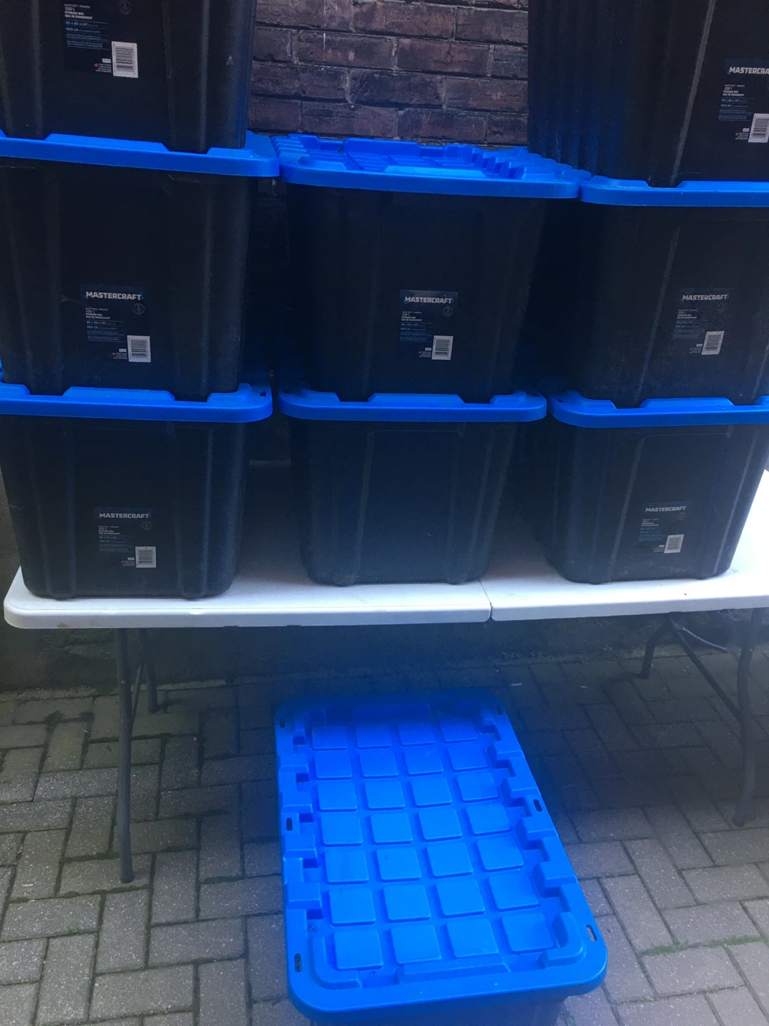 Mastercraft Storage Totes with Lids