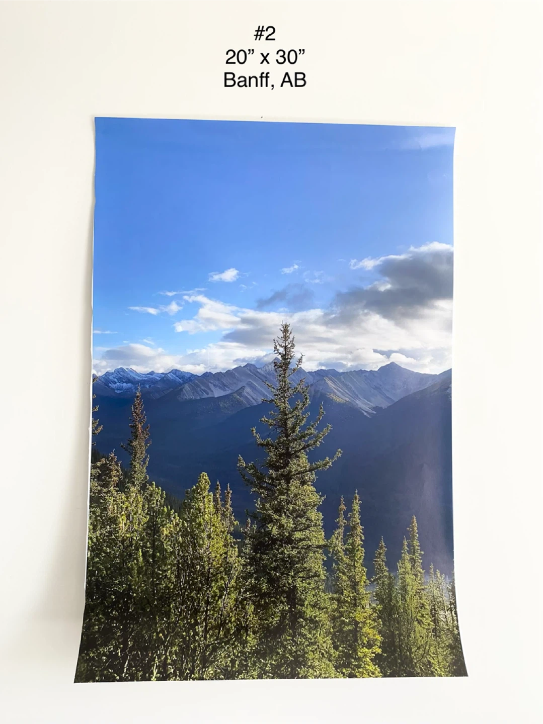 Original Photography Art Prints (Signed) ($35 Each) - photo 2